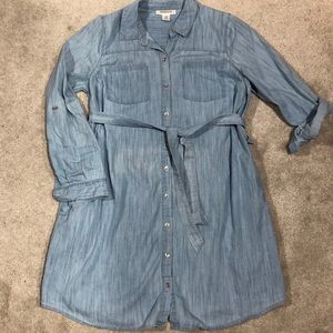 Maternity Shirt Dress